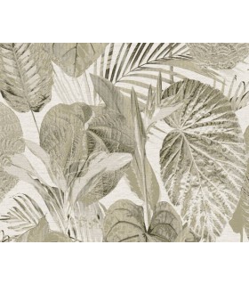 Papier peint As Creation - C93551 - Collection Monteverde - 10,05x0,53cm