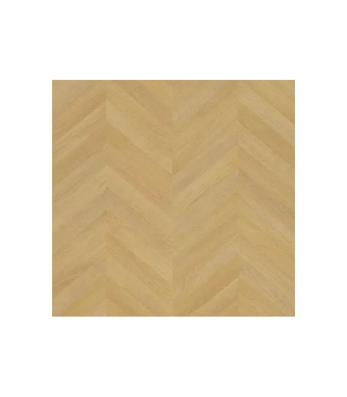 SARLON HABITAT 2S3 COUPE 2M inf. a 50m2