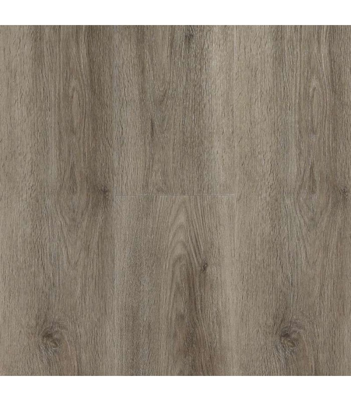 RIGID 55 ELITE  TAUPE LAME 1511X228