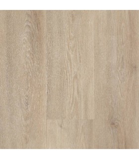 RIGID 55 ELITE SAND LAME 1511X228