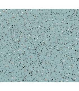 SAFETRED    R10 A LA COUPE   2M - Largeur 2 mètre(s)