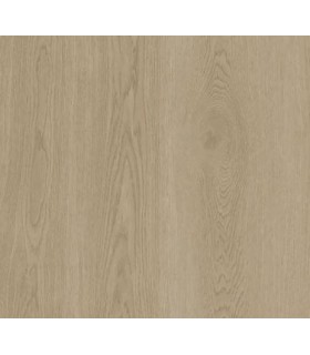 TX MODULAIRE LAME 100x25cm