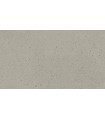 Dalles PVC Ceratouch Coretec Rhon 0571B - 915x457x8mm 2,09m²