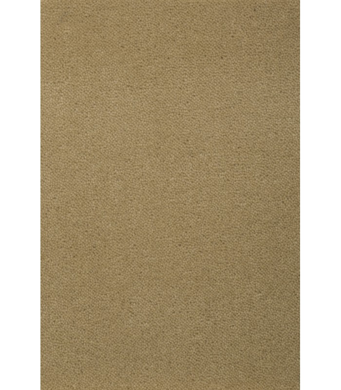 Moquette Sheba Actionback en laine vierge 4 m