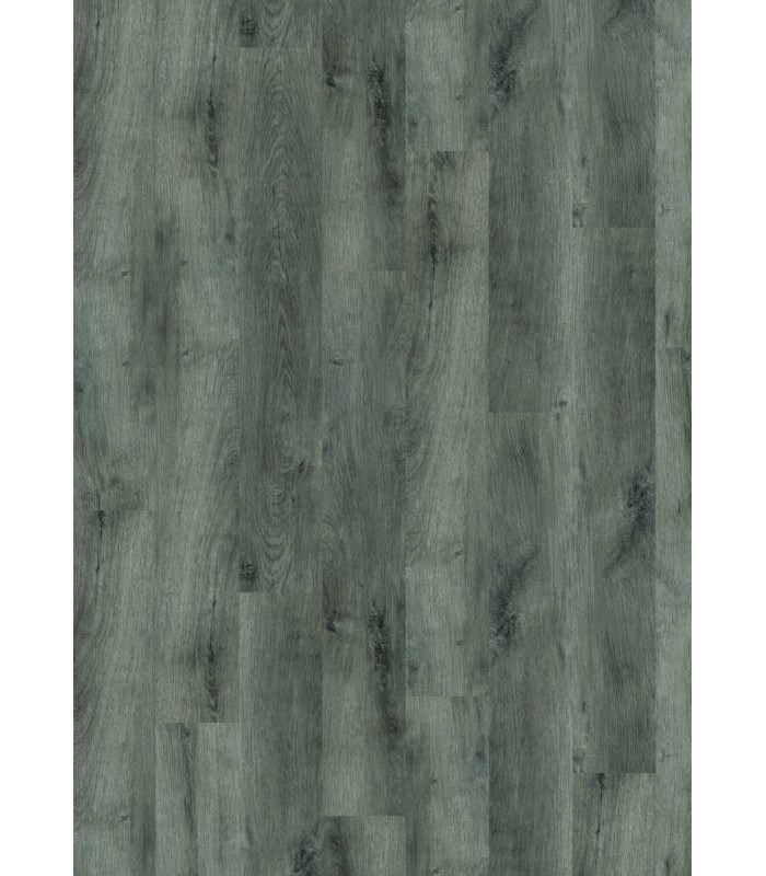 TRILOGY RIGID 40 VATICAN 122X18
