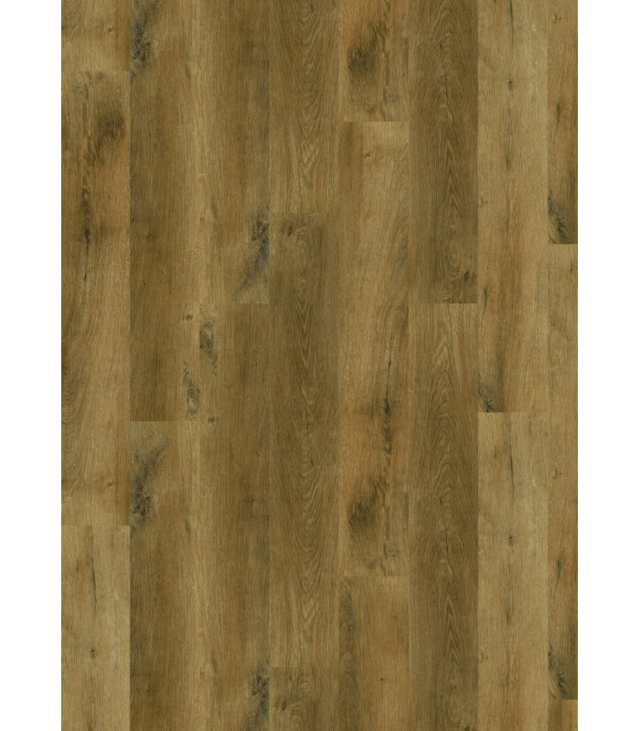 TRILOGY RIGID 40 RAGUSE 122X18