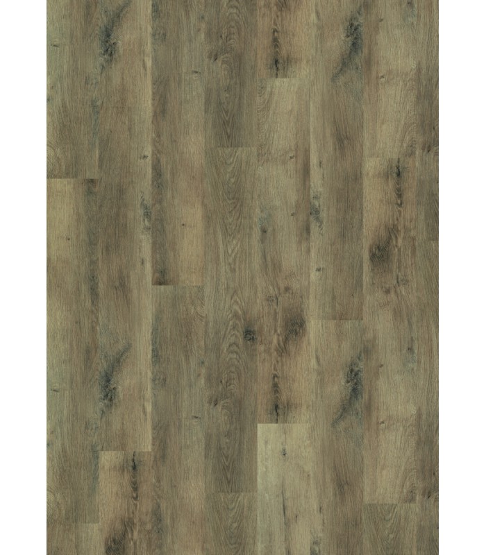 TRILOGY RIGID 40 GENEVE 122X18