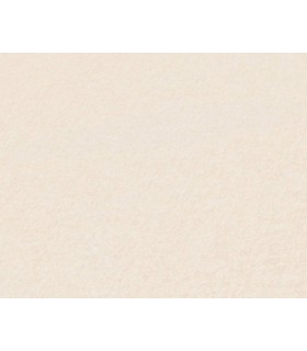 Papier Peint Référence C92161 - Collection Stories of Life - AS CREATION