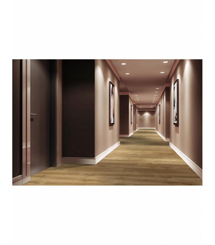 TRILOGY RIGID 40 RAGUSE 122X18