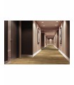 TRILOGY RIGID 40 RAGUSE 122X18