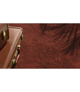 MOQUETTE VORWERK ELARA 4M