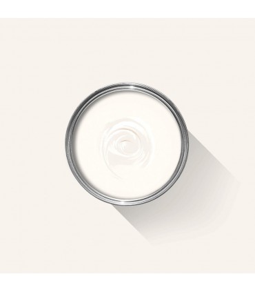 Farrow & Ball Échantillon ALL WHITE 2005 - 100ml