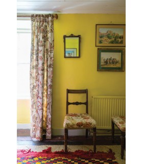 Farrow & Ball Échantillon BABOUCHE 223 - 100ml