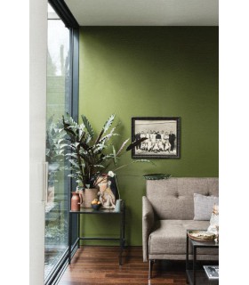 Farrow & Ball Échantillon BANCHA 298 - 100ml