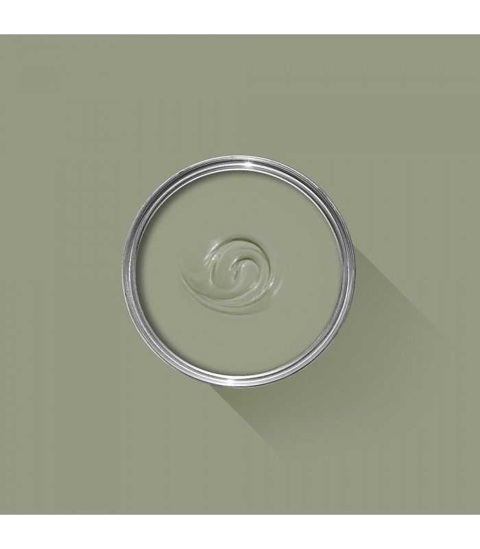 FARROW & BALL - Lichen - No.19