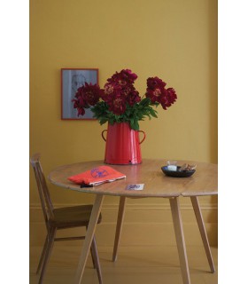 Farrow & Ball Échantillon INDIA YELLOW 66 - 100ml