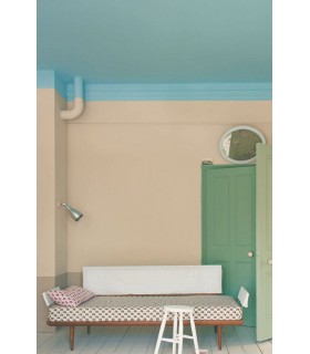 Farrow & Ball Échantillon OXFORD STONE 264 - 100ml