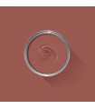 FARROW & BALL - Picture Gallery Red - No.42