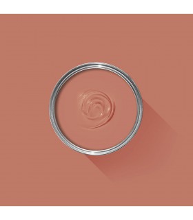 Farrow & Ball Échantillon RED EARTH 64 - 100ml