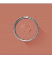 FARROW & BALL - Red Earth - No.64