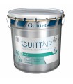 Guittet Guitt'Air Mat Peinture Assainissante Murs et Plafonds