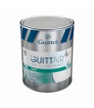 Guittet Guitt'Air Mat Peinture Assainissante Murs et Plafonds