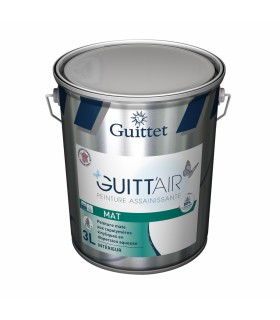 Guittet Guitt'Air Mat Peinture Assainissante Murs et Plafonds