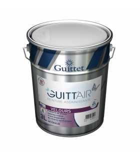 Guittet Guitt'Air Velours Peinture Assainissante Murs