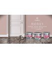 Guittet Horus Satin Peinture-laque Boiseries et Métaux en Intérieur