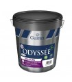 Guittet Odyssée+ velours Bas Carbone Peinture Murs et Plafonds