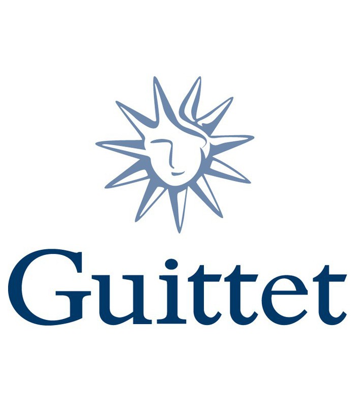 Guittet Guittex Fixateur Opacifiant de Fonds Façades et Sols