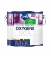 Levis Oxygène Satin Peinture murale intérieur 0% de solvant ajouté