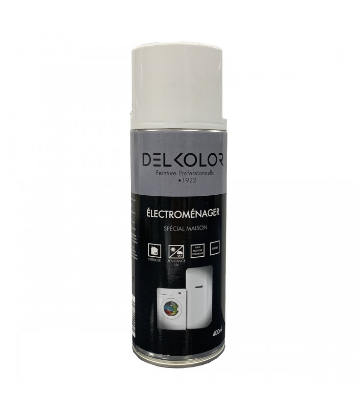 Delkolor Peinture Spéciale Electroménager en Aérosol 400ml