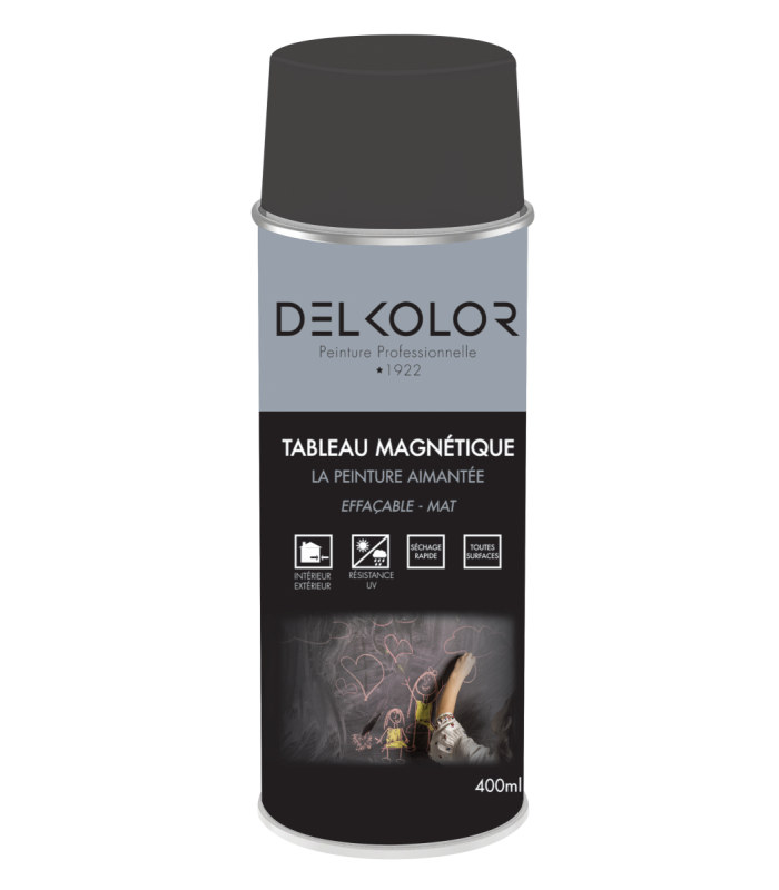 Delkolor Peinture Tableau Magnétique Noir en Aérosol - 400ml