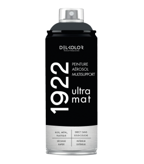 Peinture aérosol DELKOLOR 1922 MAT - 400 ml