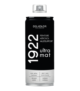 Peinture aérosol DELKOLOR 1922 MAT - 400 ml