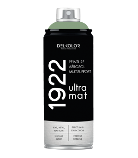 Peinture aérosol DELKOLOR 1922 MAT - 400 ml