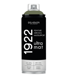 Peinture aérosol DELKOLOR 1922 MAT - 400 ml