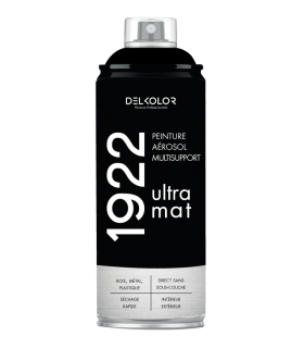 Peinture aérosol DELKOLOR 1922 MAT - 400 ml