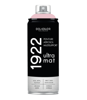 Delkolor 1922 peinture multi-support aérosol mat 400 ml