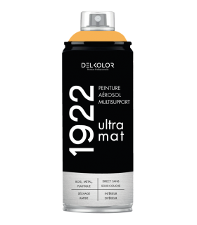 Peinture aérosol DELKOLOR 1922 MAT - 400 ml