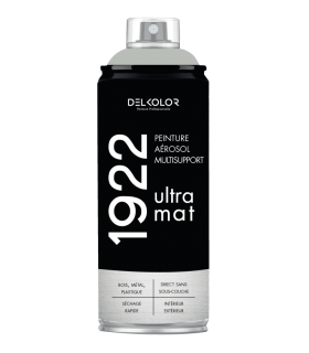 Peinture aérosol DELKOLOR 1922 MAT - 400 ml