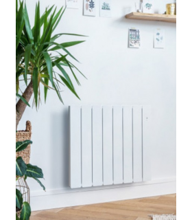 Delkolor peinture spéciale radiateur en aérosol 400 ml