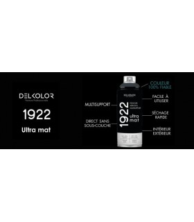 Peinture aérosol DELKOLOR 1922 MAT - 400 ml