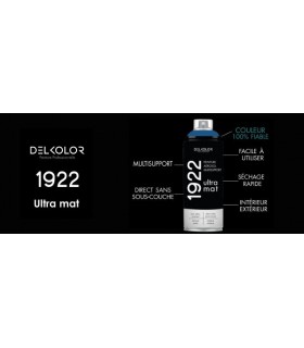 Peinture aérosol DELKOLOR 1922 MAT - 400 ml