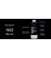 Delkolor 1922 peinture multi-support aérosol mat 400 ml