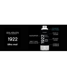 Peinture aérosol DELKOLOR 1922 MAT - 400 ml