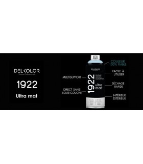 Peinture aérosol DELKOLOR 1922 MAT - 400 ml