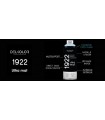 Peinture aérosol DELKOLOR 1922 MAT - 400 ml