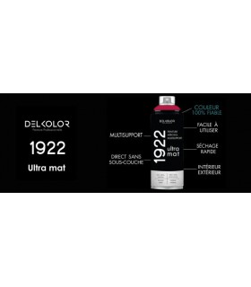 Peinture aérosol DELKOLOR 1922 MAT - 400 ml